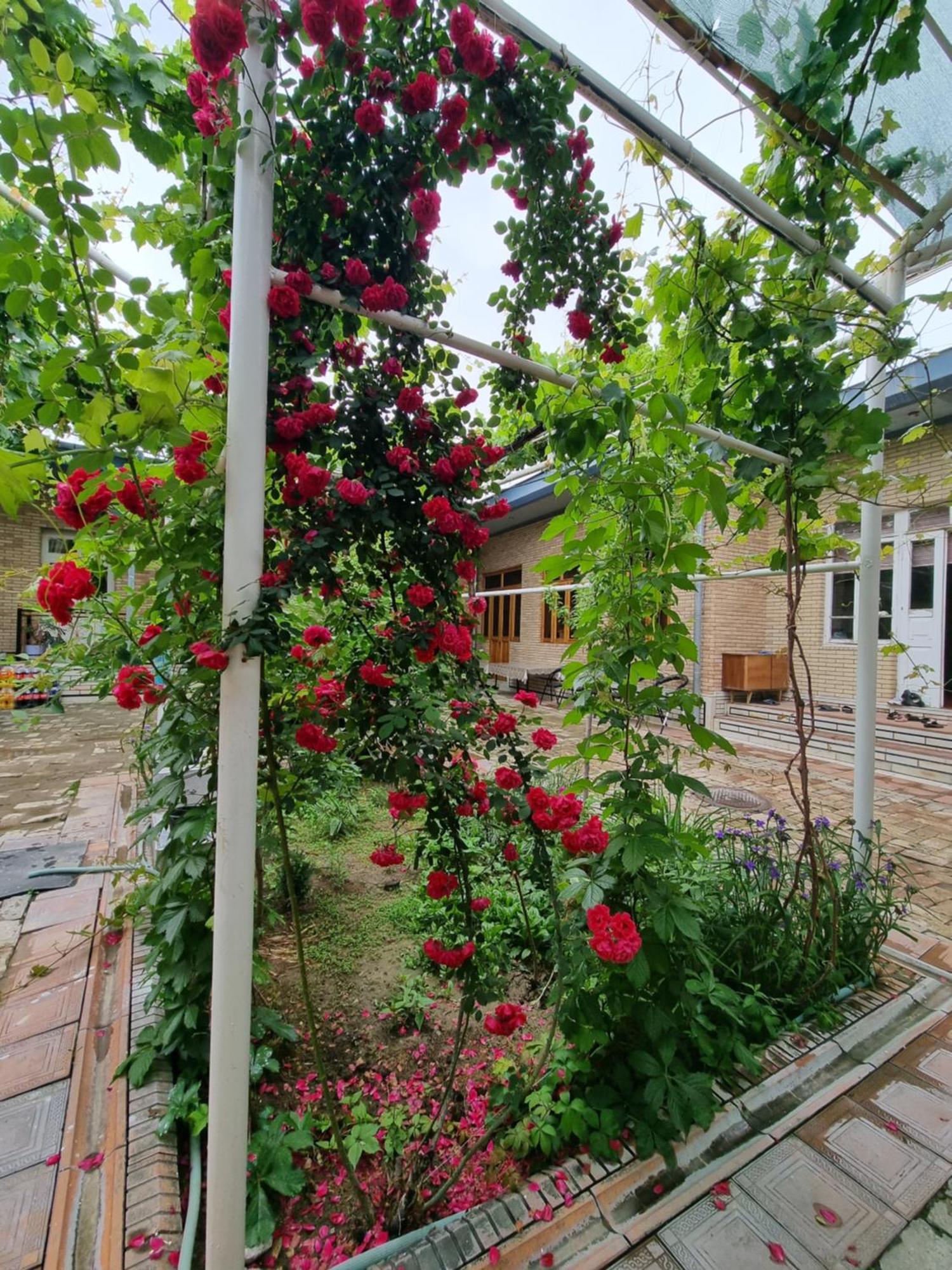 Hostel Muborak Samarkand Exteriér fotografie