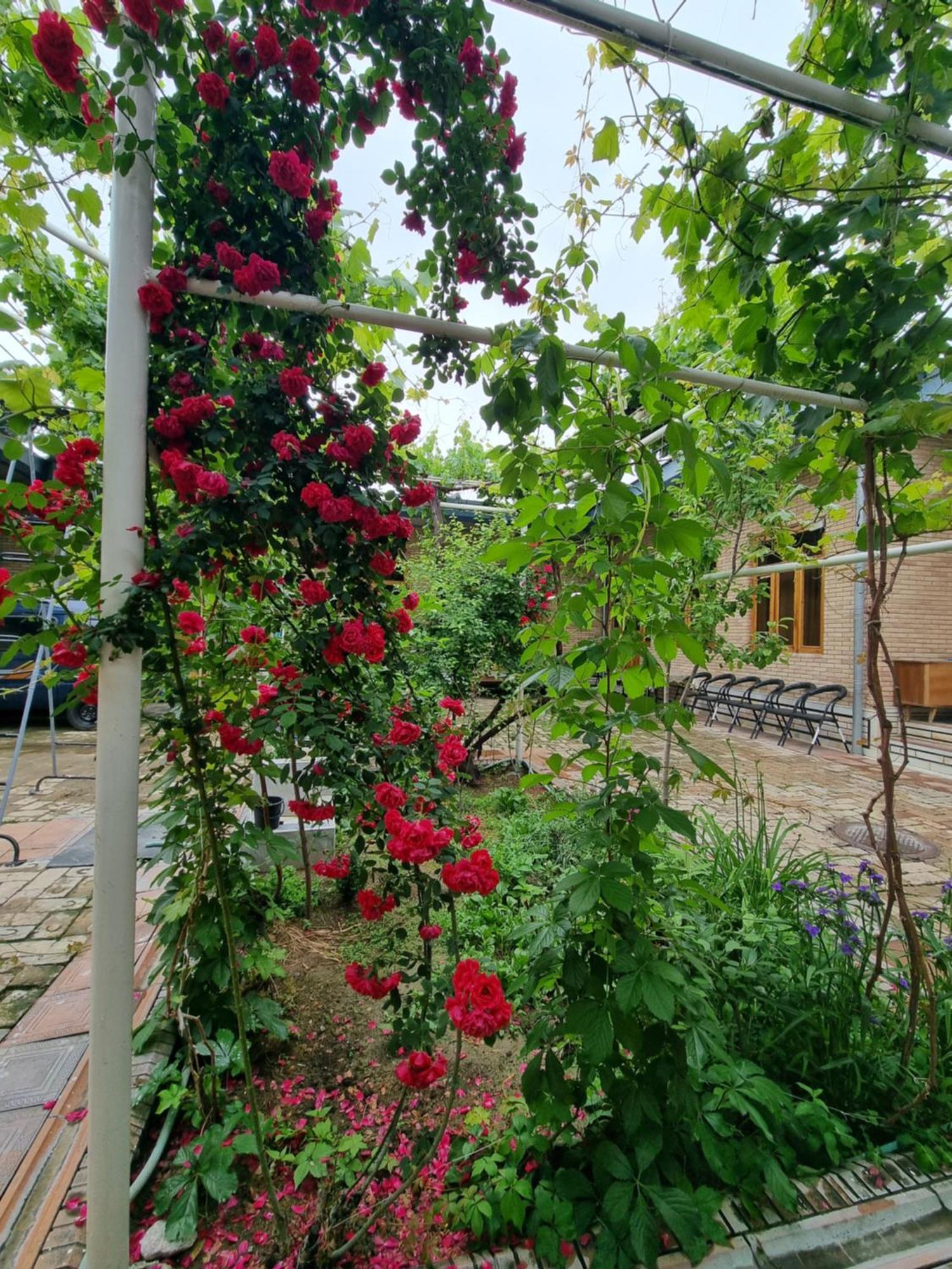 Hostel Muborak Samarkand Exteriér fotografie